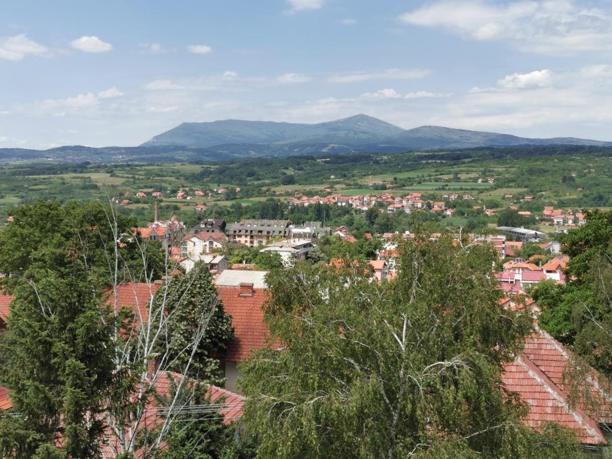 Vila Breza Soko Banja Exterior foto