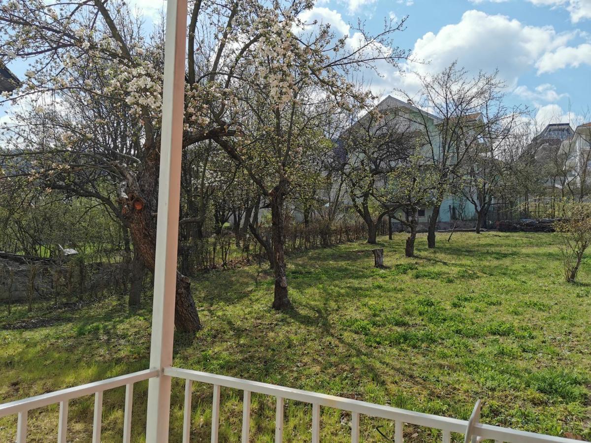 Vila Breza Soko Banja Exterior foto