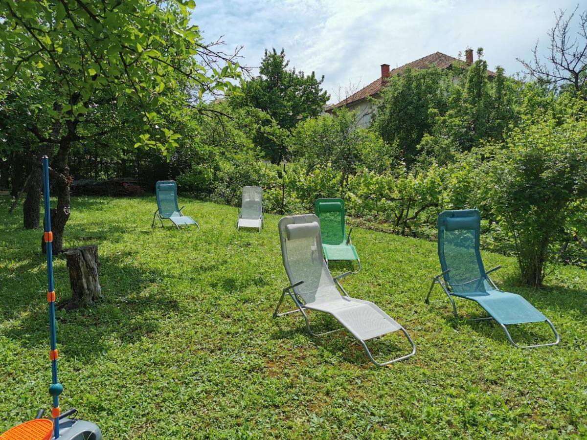 Vila Breza Soko Banja Exterior foto